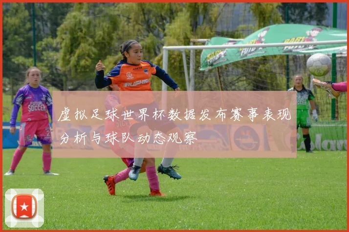 虚拟足球世界杯数据发布赛事表现分析与球队动态观察