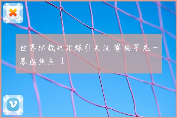 世界杯裁判进球引关注 赛场罕见一幕成焦点_1