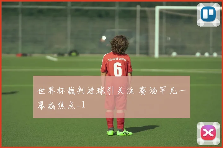 世界杯裁判进球引关注 赛场罕见一幕成焦点_1